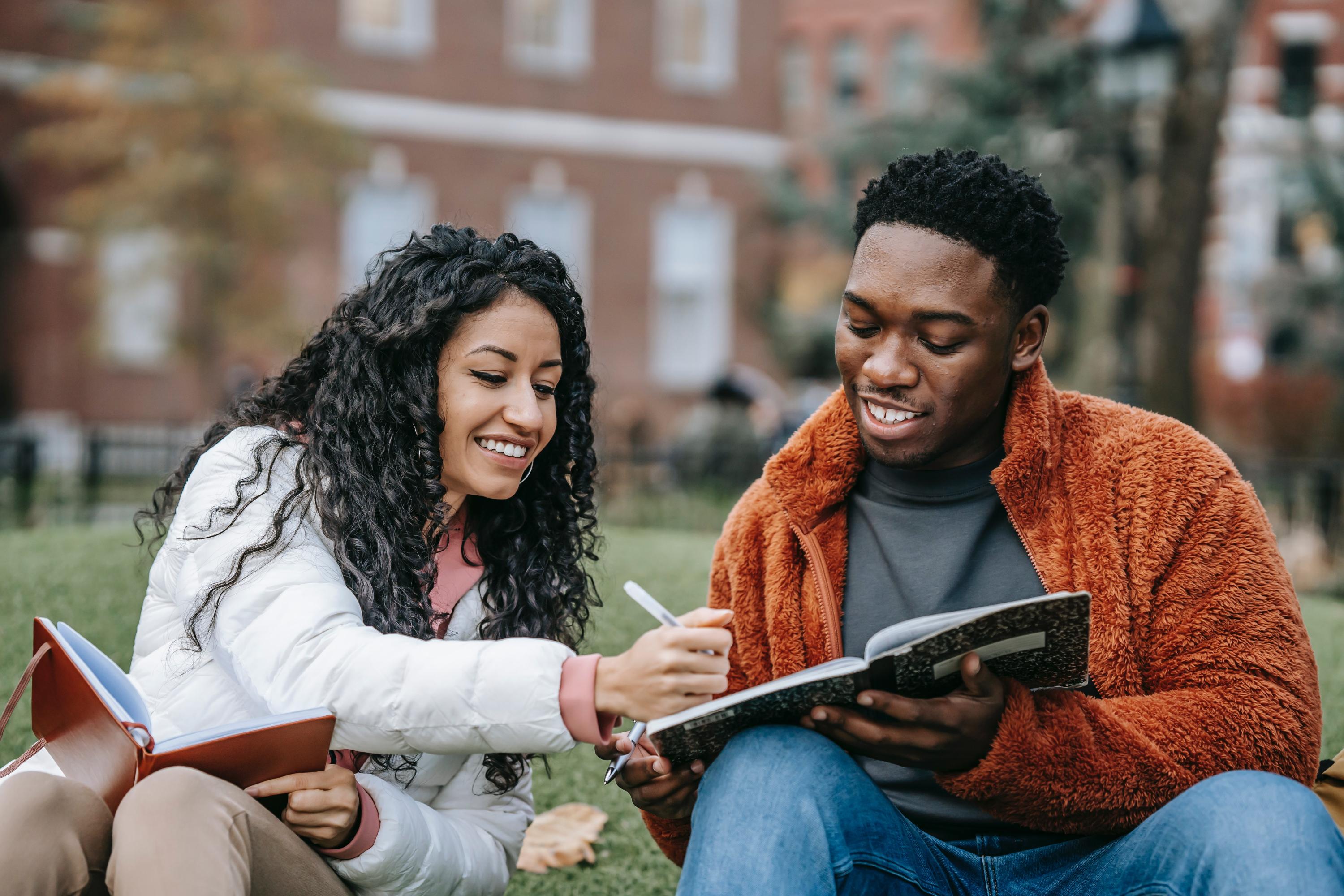 Students studying outside